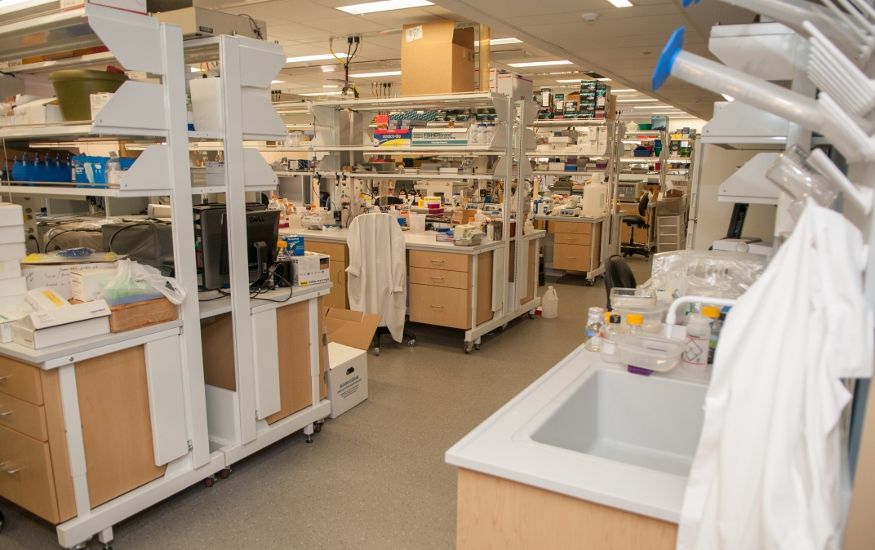 The MITM laboratory space