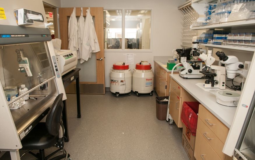 The MITM laboratory space